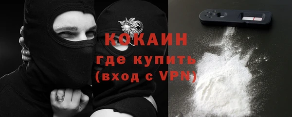 шишки Абинск