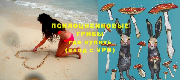 шишки Абинск