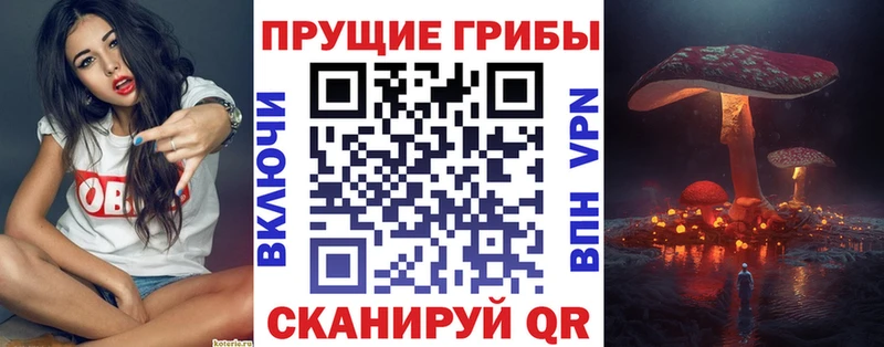 Псилоцибиновые грибы мухоморы  где продают наркотики  мега зеркало  Касли 